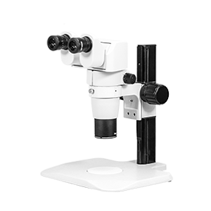 Stereo Microscope